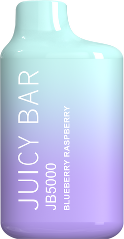 Juicy Bar Blueberry Raspberry 5% 5000 Puff